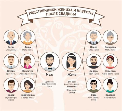 сноха это|лексикон .